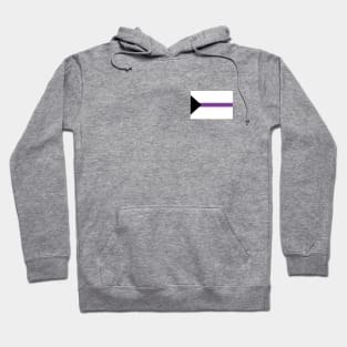 Demisexual Pride Flag Hoodie